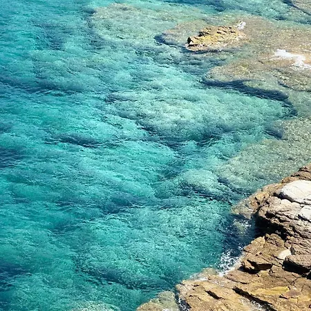 2 Piscine Terrasse Saint Florent 奥莱塔