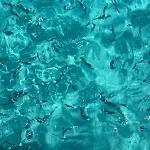2 Piscine Terrasse Saint Florent شقة *
