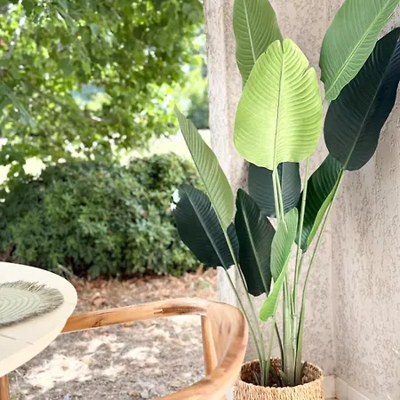 2 Piscine Terrasse Saint Florent Apartament Oletta (Corsica)