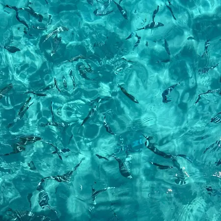 2 Piscine Terrasse Saint Florent Апартаменты *