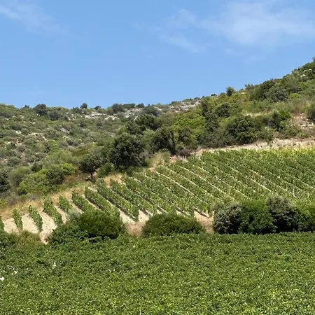 2 Piscine Terrasse Saint Florent Апартаменты *