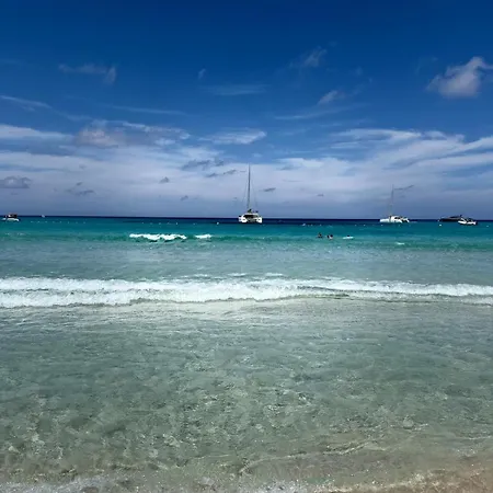 2 Piscine Terrasse Saint Florent * Oletta (Corsica)