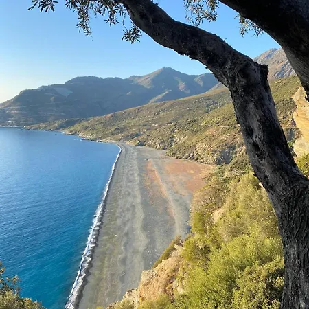 2 Piscine Terrasse Saint Florent