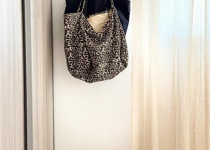 2 Piscine Terrasse Saint Florent 公寓 奥莱塔