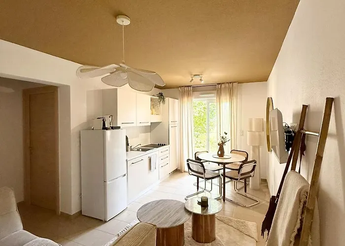 2 Piscine Terrasse Saint Florent 公寓 *