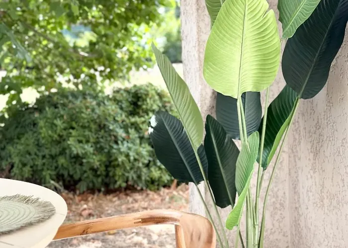 2 Piscine Terrasse Saint Florent 公寓 奥莱塔