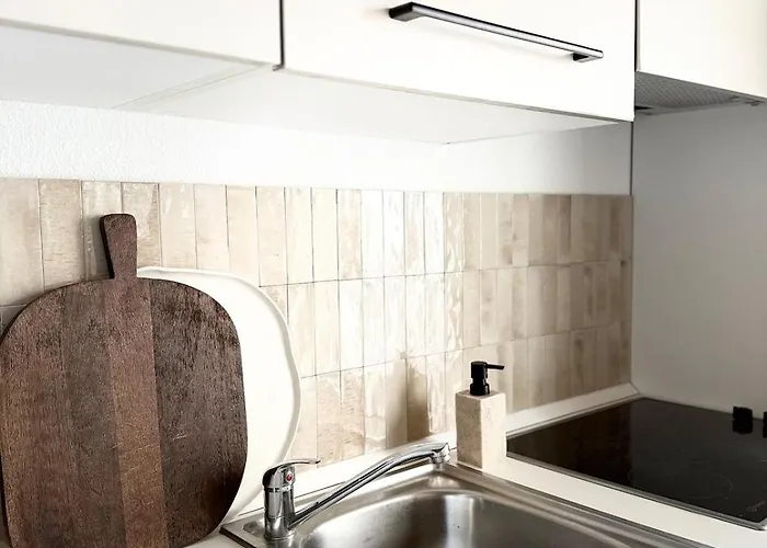 2 Piscine Terrasse Saint Florent * 奥莱塔