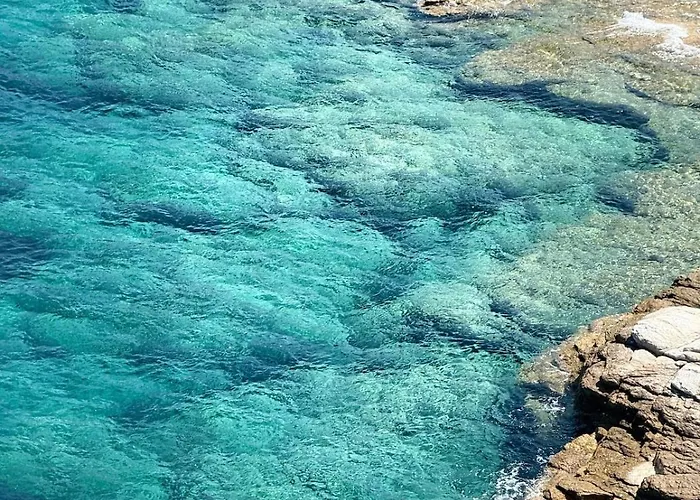 2 Piscine Terrasse Saint Florent 奥莱塔