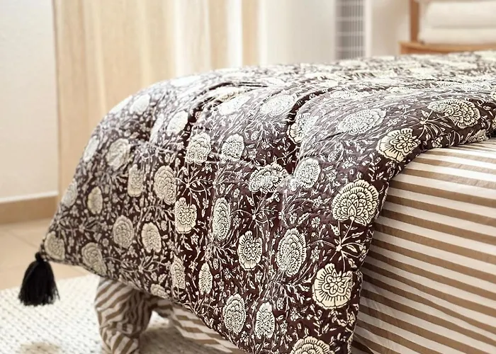 公寓 2 Piscine Terrasse Saint Florent *