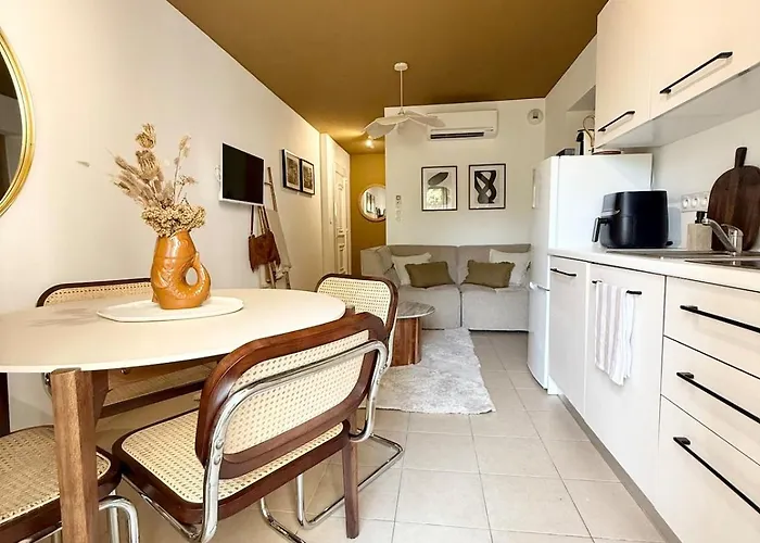 2 Piscine Terrasse Saint Florent 公寓 奥莱塔