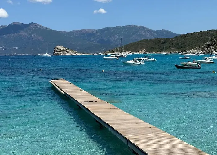 2 Piscine Terrasse Saint Florent * オレッタ