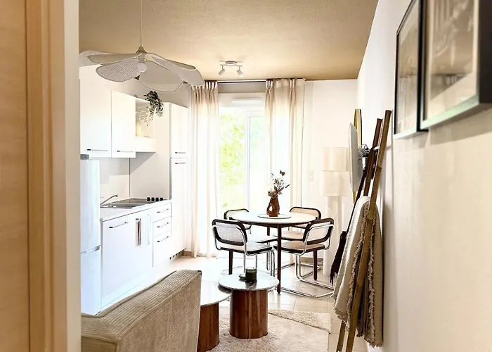 2 Piscine Terrasse Saint Florent 公寓 奥莱塔