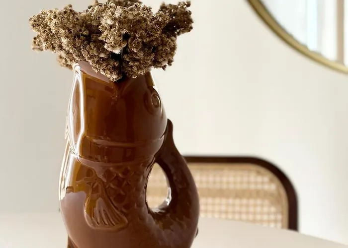 2 Piscine Terrasse Saint Florent 公寓 奥莱塔